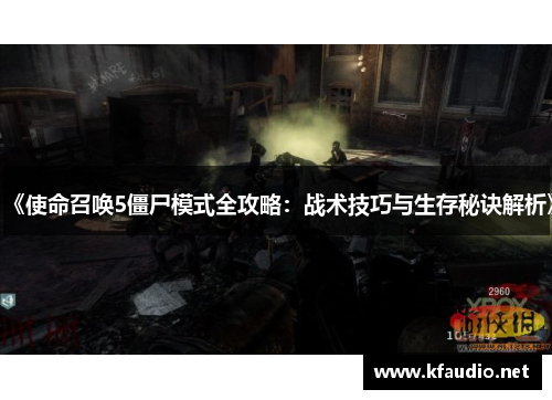《使命召唤5僵尸模式全攻略：战术技巧与生存秘诀解析》